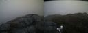 ./images/calvert/buxton2/20170509/buxton220170509_063016M.jpg