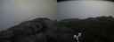 ./images/calvert/buxton2/20170509/buxton220170509_081553M.jpg