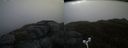 ./images/calvert/buxton2/20170509/buxton220170509_084545M.jpg