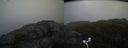 ./images/calvert/buxton2/20170509/buxton220170509_085034M.jpg
