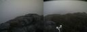 ./images/calvert/buxton2/20170509/buxton220170509_112518M.jpg
