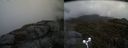 ./images/calvert/buxton2/20170509/buxton220170509_113540M.jpg