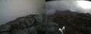 ./images/calvert/buxton2/20170509/buxton220170509_114018M.jpg