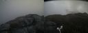 ./images/calvert/buxton2/20170509/buxton220170509_120025M.jpg