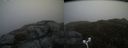 ./images/calvert/buxton2/20170509/buxton220170509_122008M.jpg