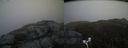 ./images/calvert/buxton2/20170509/buxton220170509_123026M.jpg