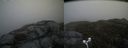 ./images/calvert/buxton2/20170509/buxton220170509_131547M.jpg