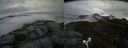 ./images/calvert/buxton2/20170510/buxton220170510_110517M.jpg