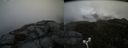 ./images/calvert/buxton2/20170510/buxton220170510_134519M.jpg