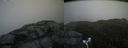 ./images/calvert/buxton2/20170510/buxton220170510_144519M.jpg