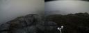 ./images/calvert/buxton2/20170511/buxton220170511_175015M.jpg
