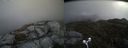 ./images/calvert/buxton2/20170512/buxton220170512_113019M.jpg