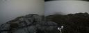./images/calvert/buxton2/20170512/buxton220170512_115550M.jpg