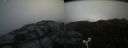 ./images/calvert/buxton2/20170512/buxton220170512_120025M.jpg