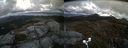 ./images/calvert/buxton2/20170512/buxton220170512_155016M.jpg