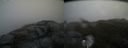 ./images/calvert/buxton2/20170513/buxton220170513_164959M.jpg