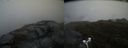 ./images/calvert/buxton2/20170513/buxton220170513_165957M.jpg