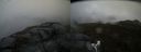 ./images/calvert/buxton2/20170513/buxton220170513_171958M.jpg