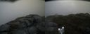 ./images/calvert/buxton2/20170513/buxton220170513_190502M.jpg