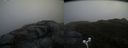 ./images/calvert/buxton2/20170513/buxton220170513_194459M.jpg