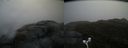 ./images/calvert/buxton2/20170513/buxton220170513_200959M.jpg