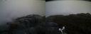 ./images/calvert/buxton2/20170513/buxton220170513_210459M.jpg