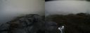 ./images/calvert/buxton2/20170515/buxton220170515_074518M.jpg