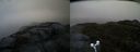./images/calvert/buxton2/20170515/buxton220170515_080016M.jpg
