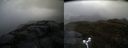 ./images/calvert/buxton2/20170515/buxton220170515_090514M.jpg