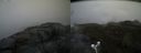 ./images/calvert/buxton2/20170515/buxton220170515_100009M.jpg