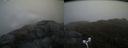 ./images/calvert/buxton2/20170515/buxton220170515_165020M.jpg