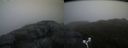 ./images/calvert/buxton2/20170515/buxton220170515_202519M.jpg