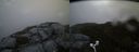 ./images/calvert/buxton2/20170518/buxton220170518_060515M.jpg