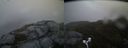 ./images/calvert/buxton2/20170518/buxton220170518_061018M.jpg
