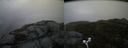 ./images/calvert/buxton2/20170518/buxton220170518_081017M.jpg