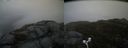 ./images/calvert/buxton2/20170518/buxton220170518_081522M.jpg
