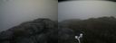./images/calvert/buxton2/20170518/buxton220170518_091008M.jpg