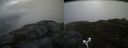 ./images/calvert/buxton2/20170518/buxton220170518_095508M.jpg