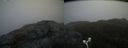 ./images/calvert/buxton2/20170518/buxton220170518_100520M.jpg