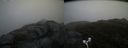 ./images/calvert/buxton2/20170518/buxton220170518_114518M.jpg