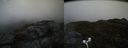 ./images/calvert/buxton2/20170518/buxton220170518_135516M.jpg