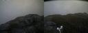 ./images/calvert/buxton2/20170519/buxton220170519_113017M.jpg
