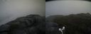 ./images/calvert/buxton2/20170519/buxton220170519_122023M.jpg