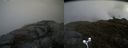 ./images/calvert/buxton2/20170519/buxton220170519_134520M.jpg
