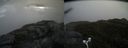 ./images/calvert/buxton2/20170519/buxton220170519_150517M.jpg