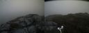 ./images/calvert/buxton2/20170523/buxton220170523_135937M.jpg