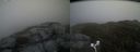 ./images/calvert/buxton2/20170524/buxton220170524_185933M.jpg