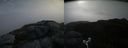 ./images/calvert/buxton2/20170530/buxton220170530_083410M.jpg