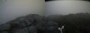 ./images/calvert/buxton2/20170530/buxton220170530_090411M.jpg