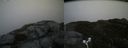 ./images/calvert/buxton2/20170530/buxton220170530_130910M.jpg